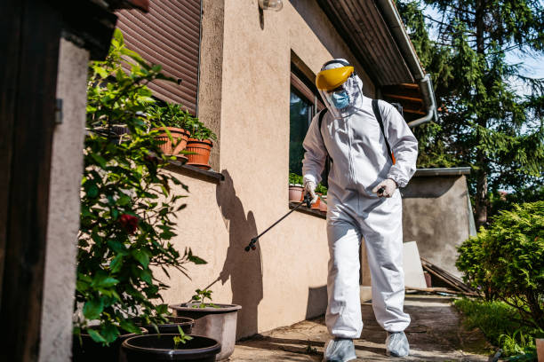 Best Ant Control Services  in Ganado, TX