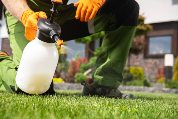 Best Pest Prevention Services  in Ganado, TX