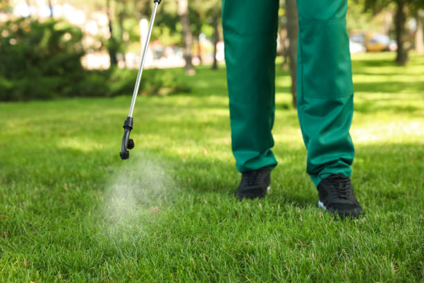 Best Local Pest Control Services  in Ganado, TX