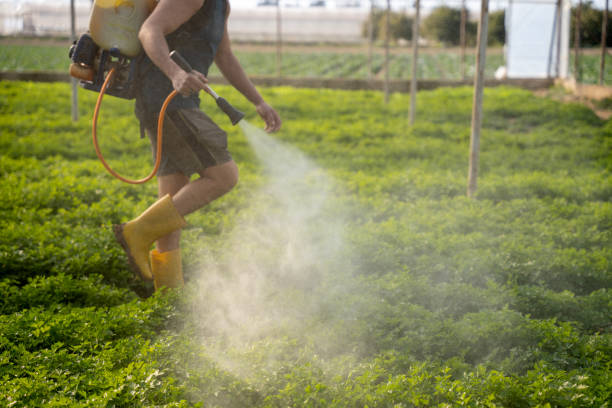 Best Pest Inspection Near Me  in Ganado, TX