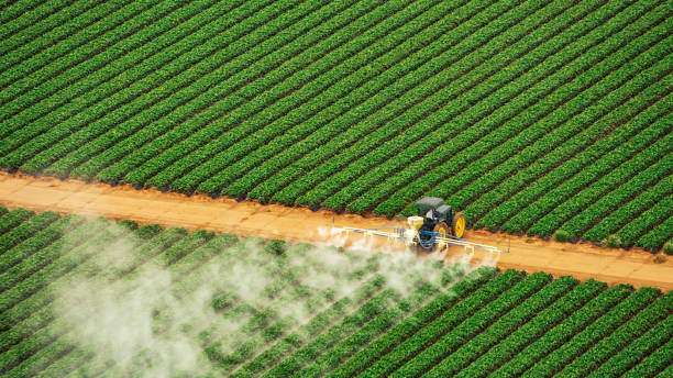 Best Pest Prevention Services  in Ganado, TX