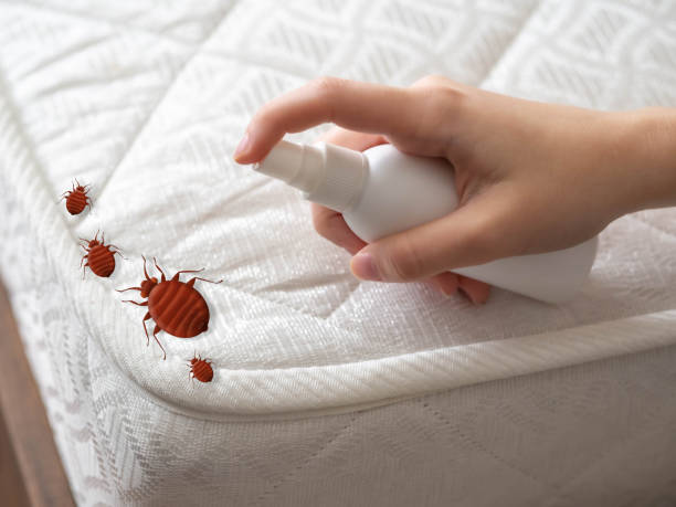 Best Cockroach Control Services  in Ganado, TX