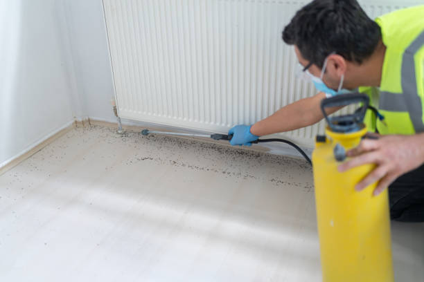 Best Bed Bug Extermination  in Ganado, TX
